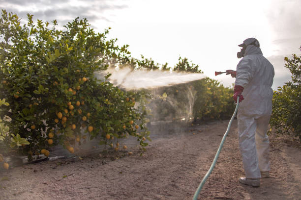 Best Pest Prevention Services  in Watauga, TX