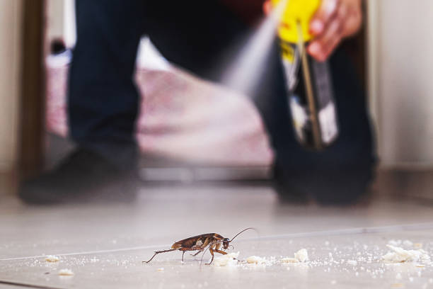 Best Pest Control Near Me in Watauga, TX