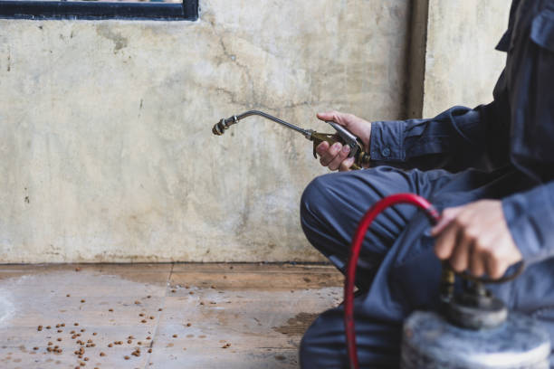 Best Affordable Exterminators  in Watauga, TX